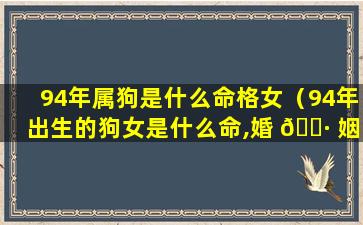 94年属狗是什么命格女（94年出生的狗女是什么命,婚 🌷 姻 🦈 怎样）